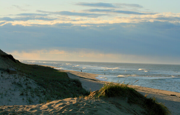 Beach at Adventure Bound Cape Cod